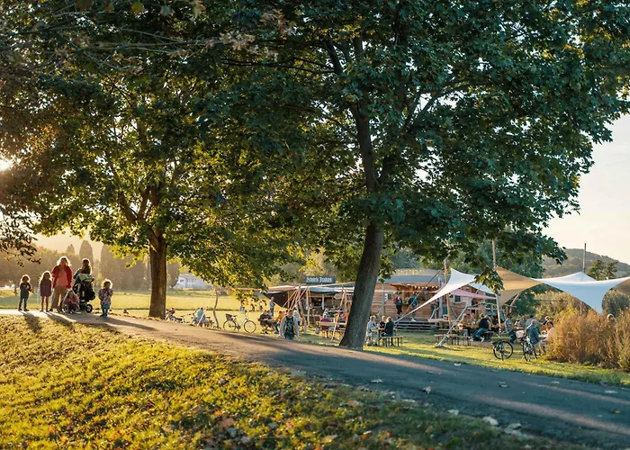 Janks I 11a-n1 I Zentrales